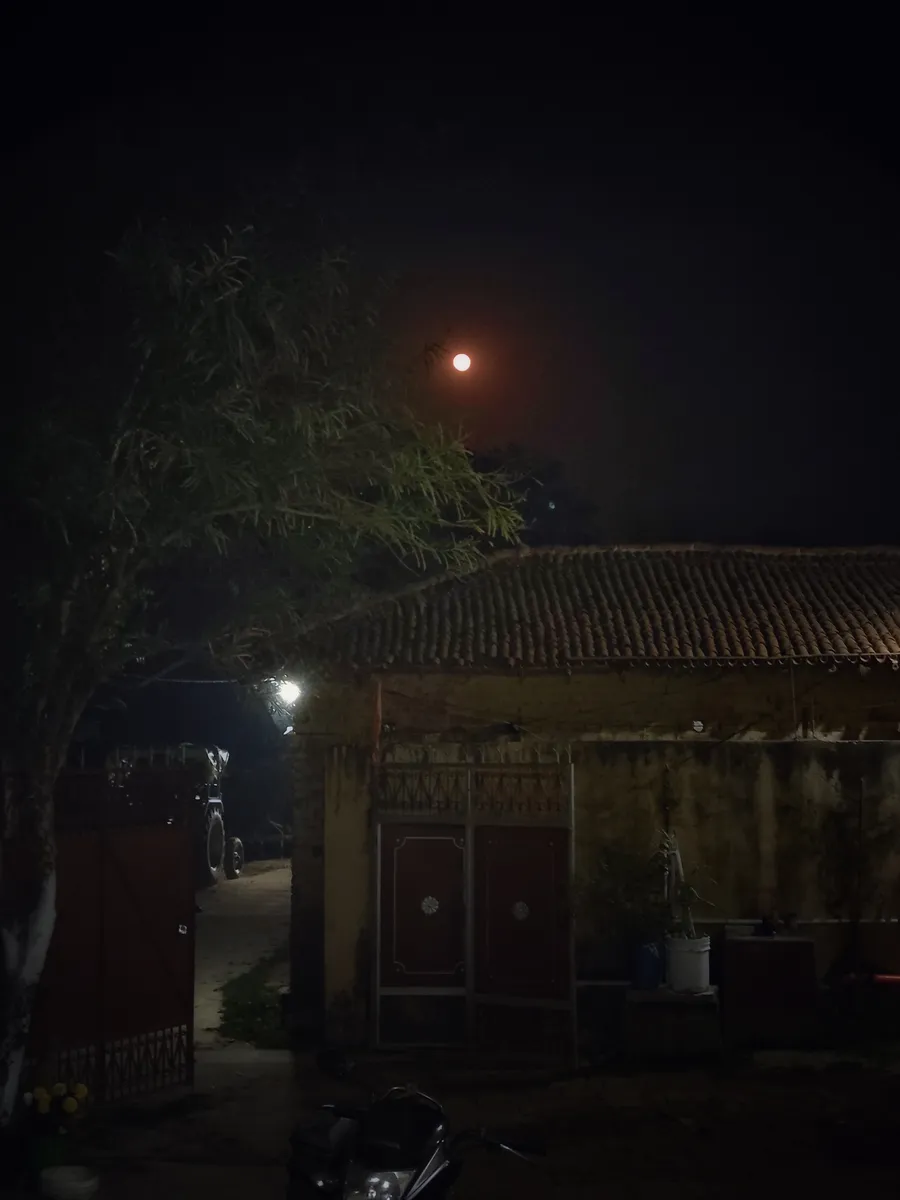 A tiled-roof building and tree at night, with a bright light above.
