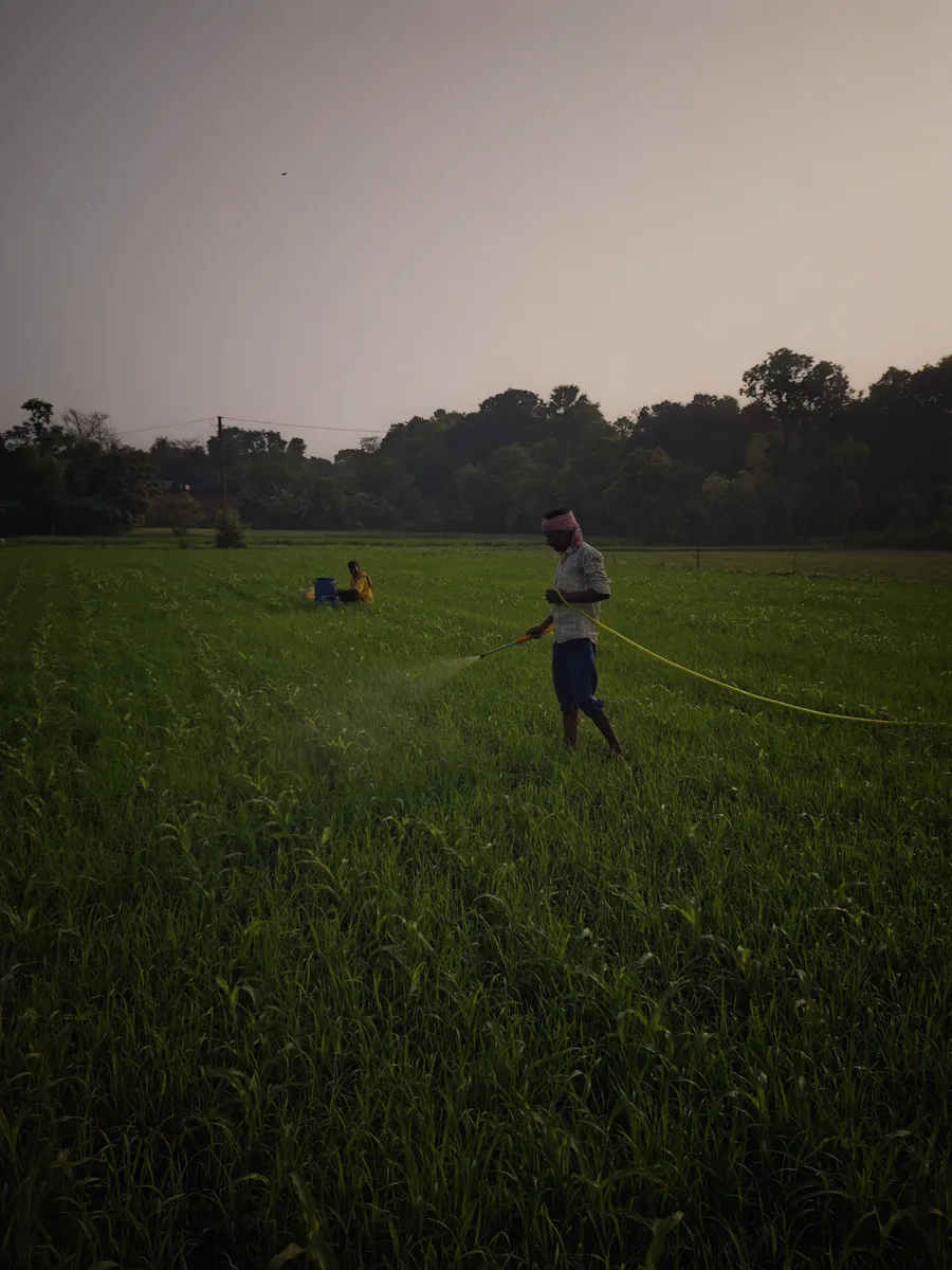 A person stands in a green field holding a long line or hose.
