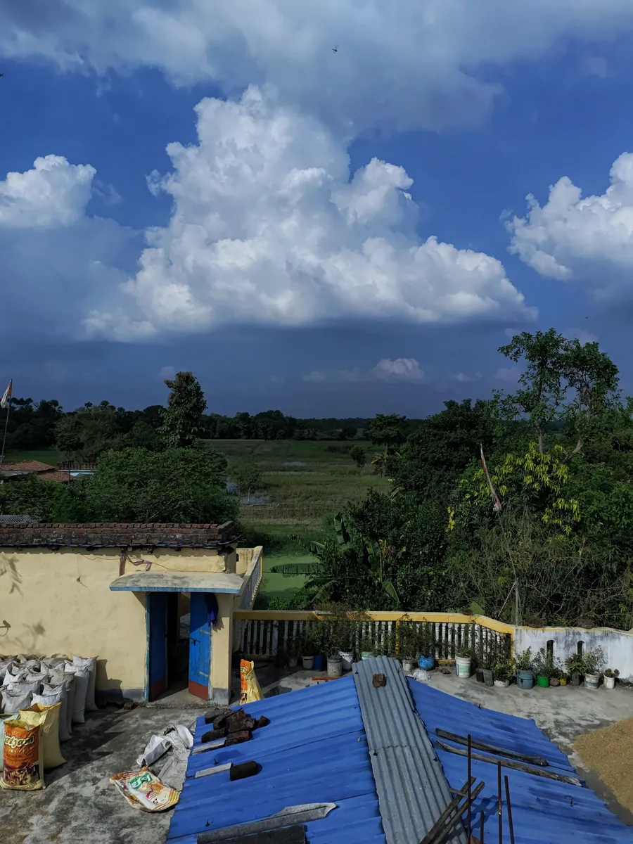 Clouds above fields and trees, seen over a blue roof and terrace plants.
