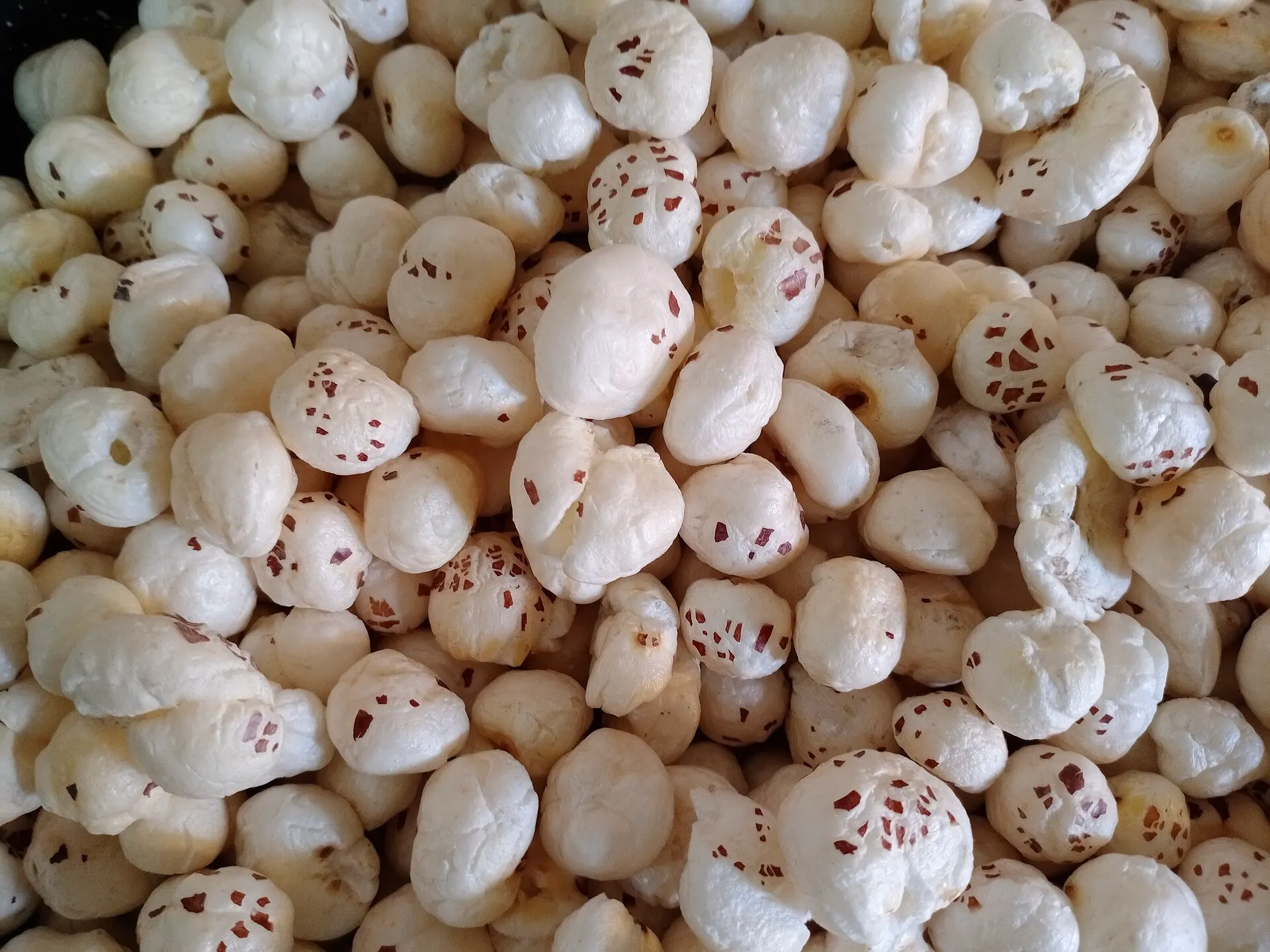 Makhana being roasted in Nawada district.